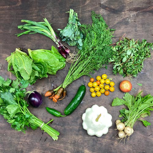 2021-csa-week-10-share