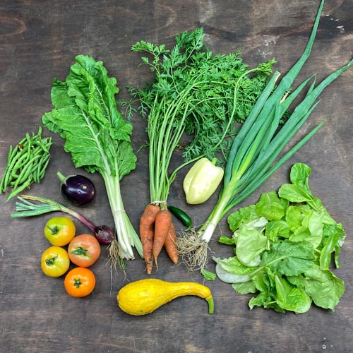 2021-csa-week-11-share