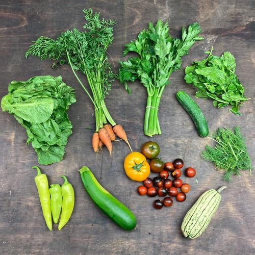 2021-csa-week-12-share