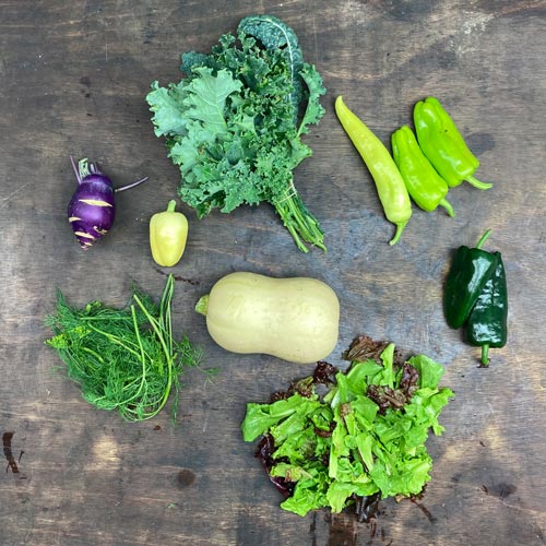 	2021-csa-week-16-share