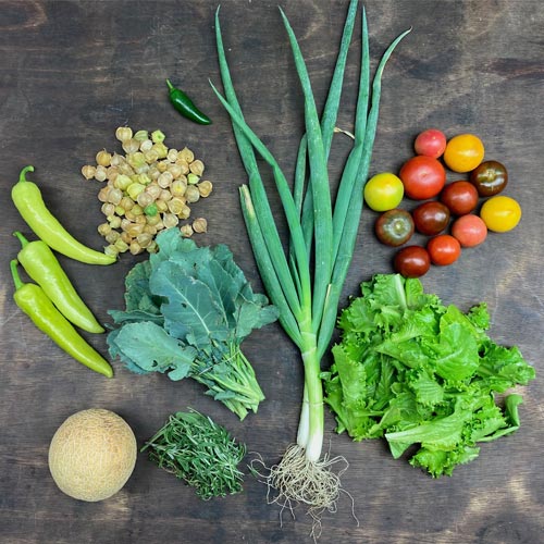 2021-csa-week-18-share