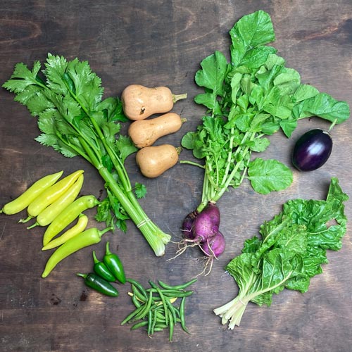 2021-csa-week-22-share