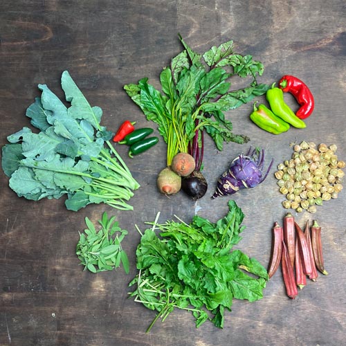 2021-csa-week-23-share