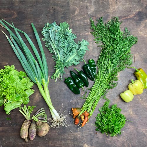 2021-csa-week-24-share