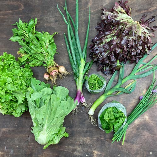 2022-csa-week-2-share