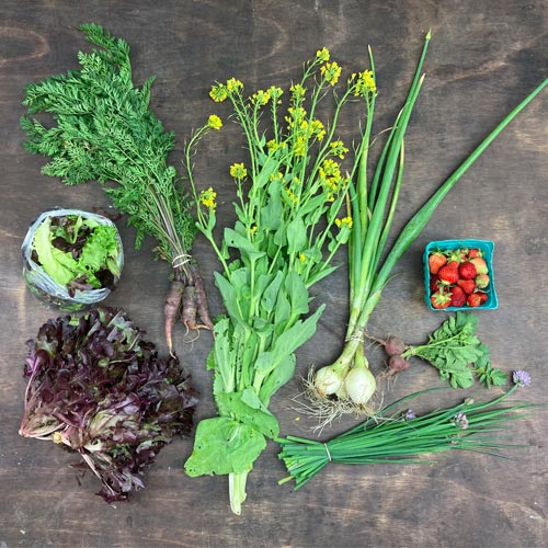 2022-csa-week-4-share