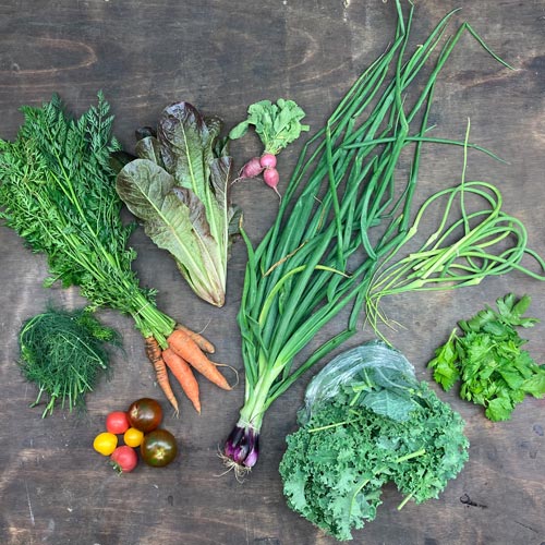 2022-csa-week-7-share