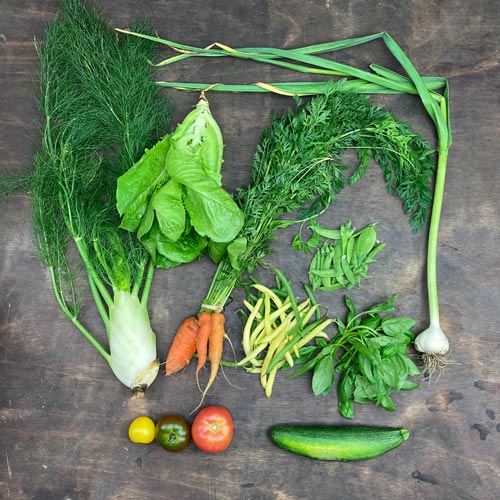 2022-csa-week-9-share