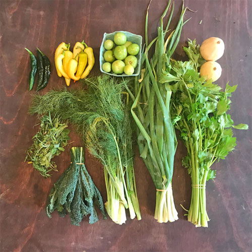 2018-csa-week-27-share