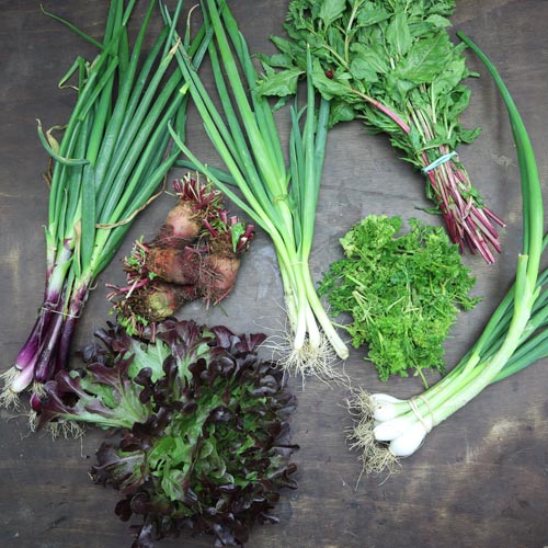 2023-csa-week-2-share