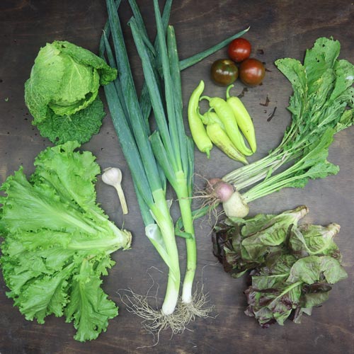 2023-csa-week-9-share