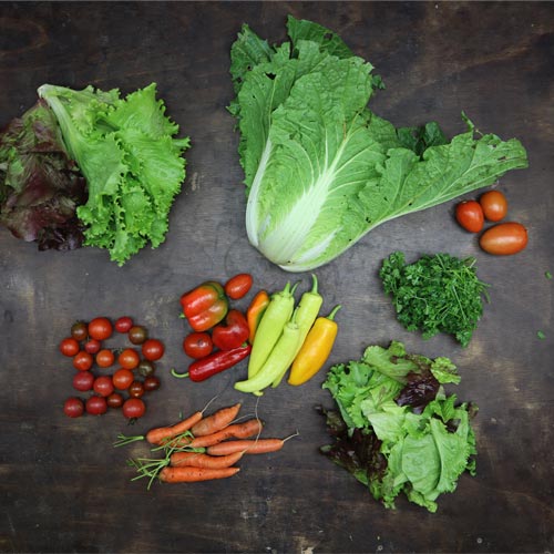 2023-csa-week-23-share