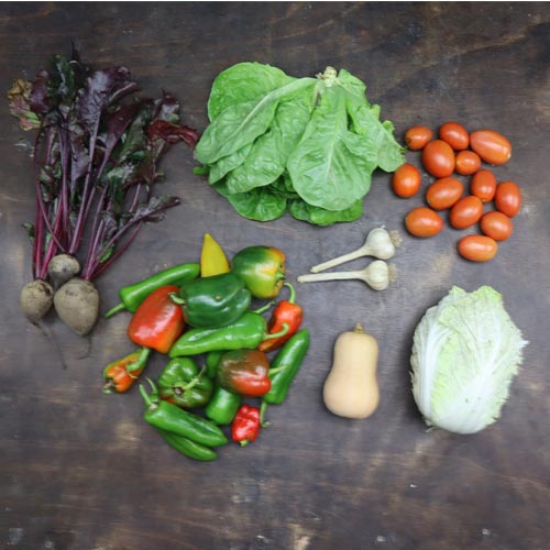 2022-csa-week-27-share