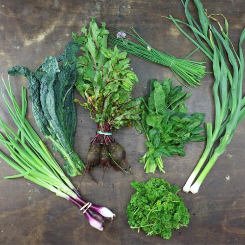 2024-csa-week-2-share