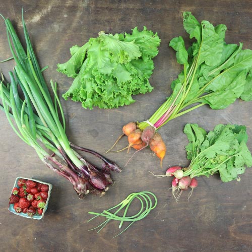 2024-csa-week-5-share