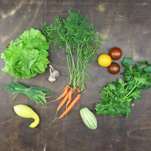 2024-csa-week-9-share