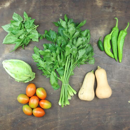 2024-csa-week-15-share