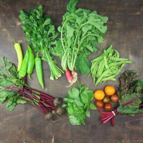 2024-csa-week-22-share