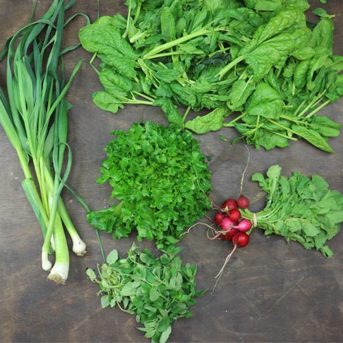 2025-csa-week-2-share