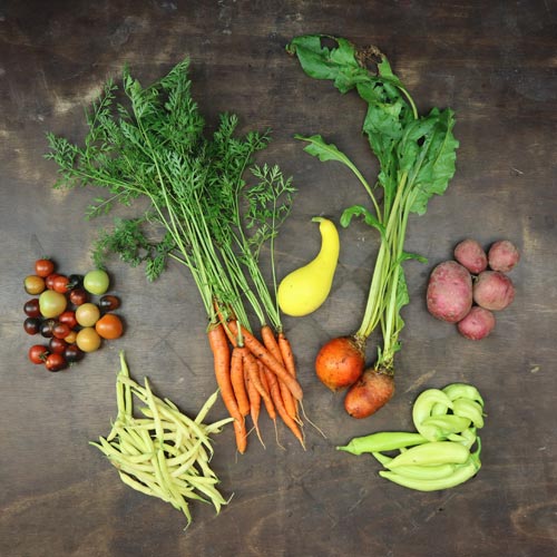 2025-csa-week-11-share