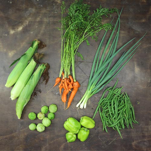 2025-csa-week-12-share