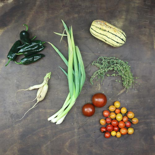 2025-csa-week-22-share