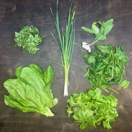 2026-csa-week-1-share