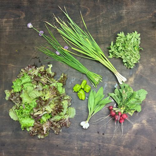 2026-csa-week-2-share