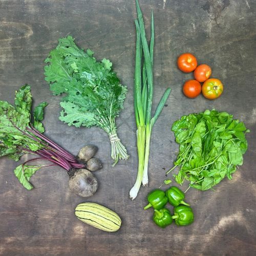 2026-csa-week-19-share