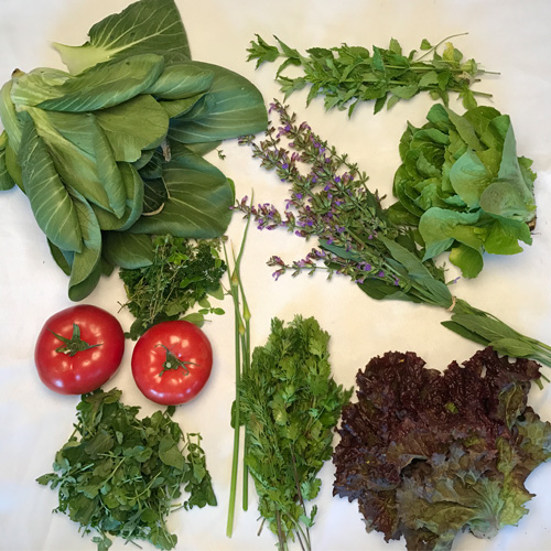 2017-csa-week-3-share