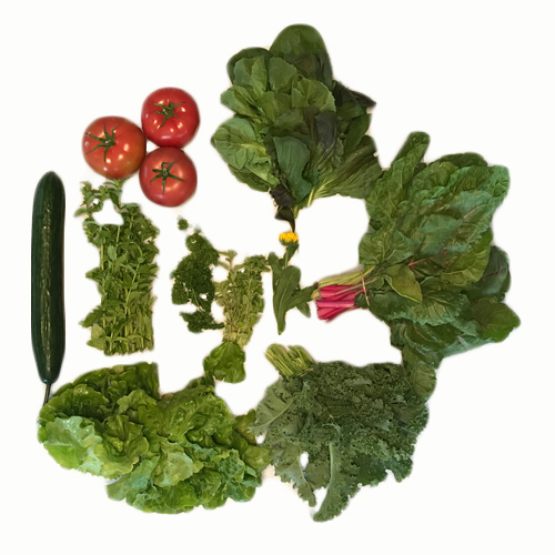 2017-csa-week-5-share