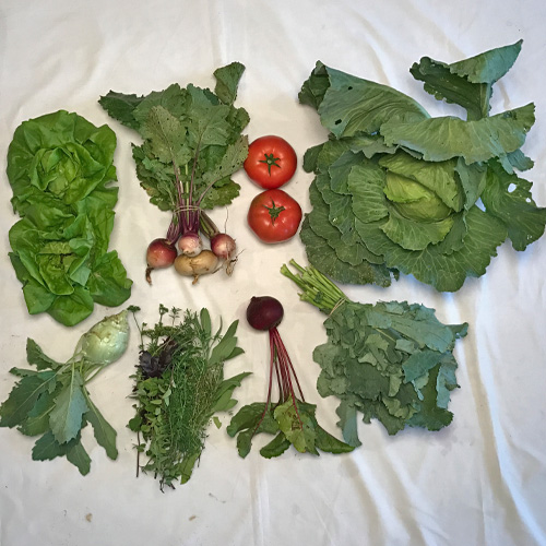 2017-csa-week-9-share