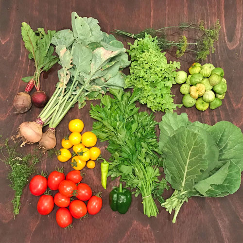 2018-csa-week-10-share