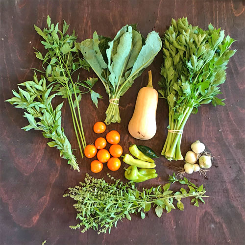 2018-csa-week-16-share