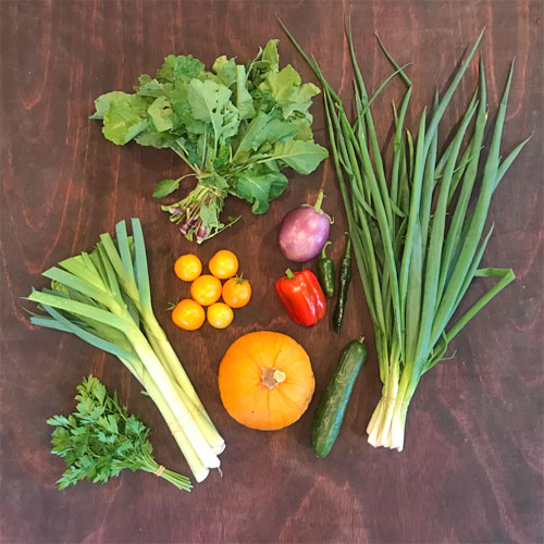 2018-csa-week-22-share