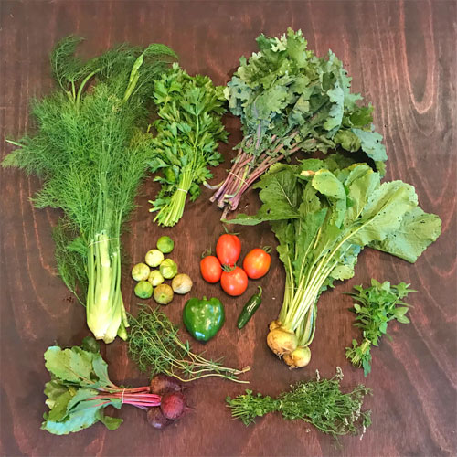 2018-csa-week-8-share_0