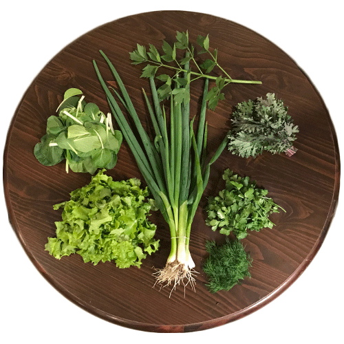 2019-csa-week-1-share