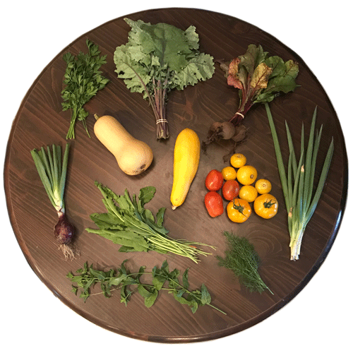 2019-csa-week-10-share