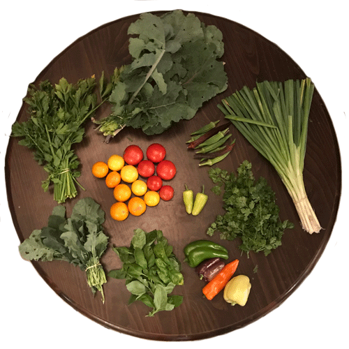 2019-csa-week-19-share