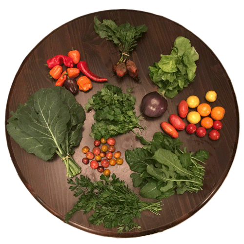 2019-csa-week-20-share