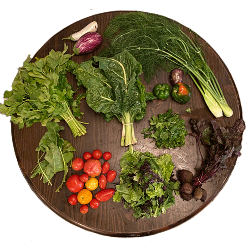 2019-csa-week-23-share