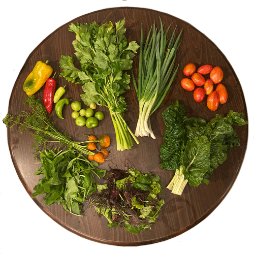 2019-csa-week-24-share