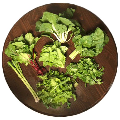 2019-csa-week-3-share