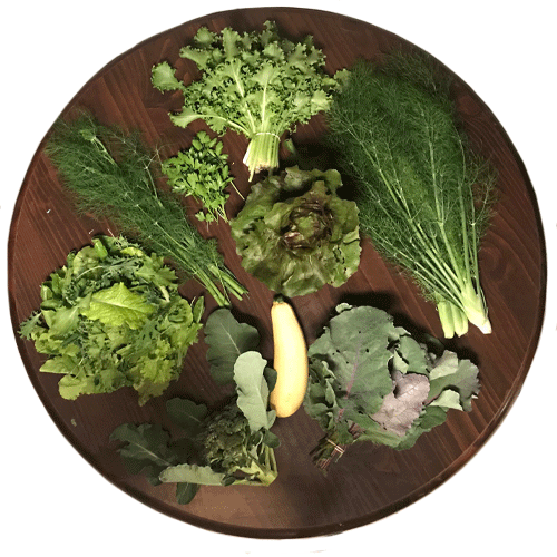 2019-csa-week-4-share