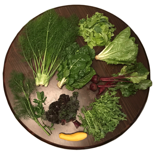 2019-csa-week-5-share