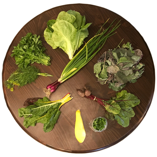 2019-csa-week-6-share