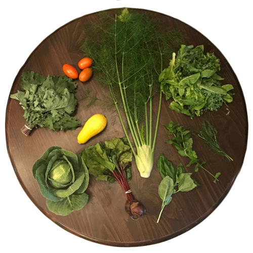 2019-csa-week-7-share