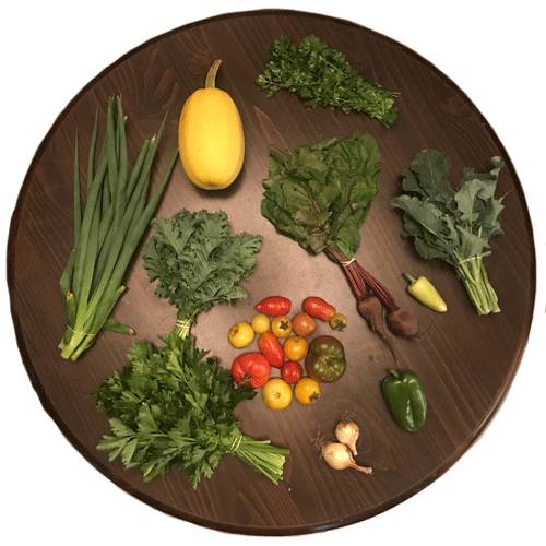 2019-csa-week-9-share