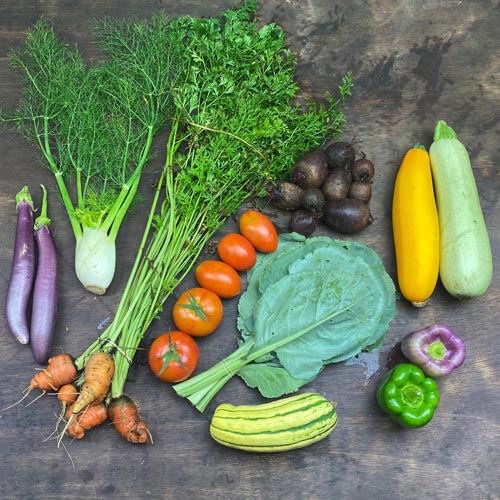 2020-csa-week-11-share