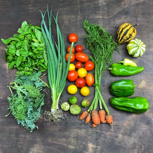 2020-csa-week-15-share